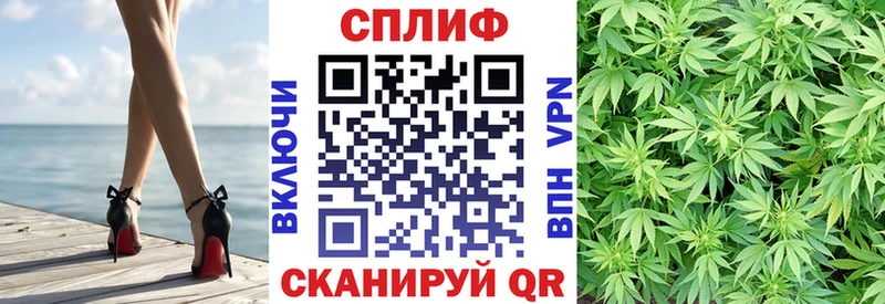 Цена Хилок Марихуана  hydra как зайти  Гашиш  Амфетамин  Меф мяу мяу  Альфа ПВП  МЕТАДОН 
