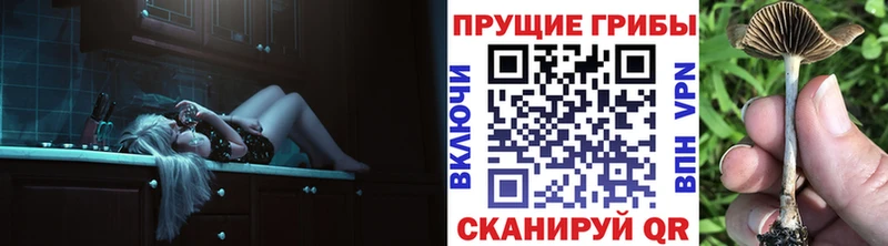 Псилоцибиновые грибы прущие грибы  блэк спрут ссылка  Хилок 